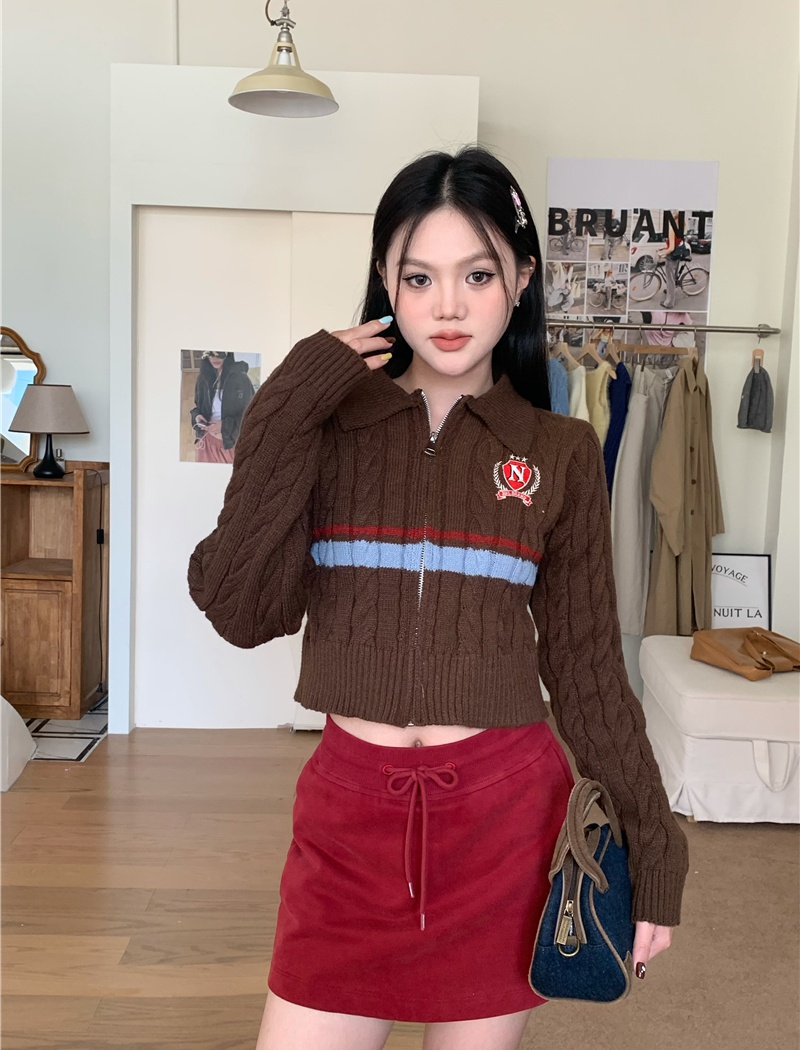 Zip college style short coat Korean style lapel sweater