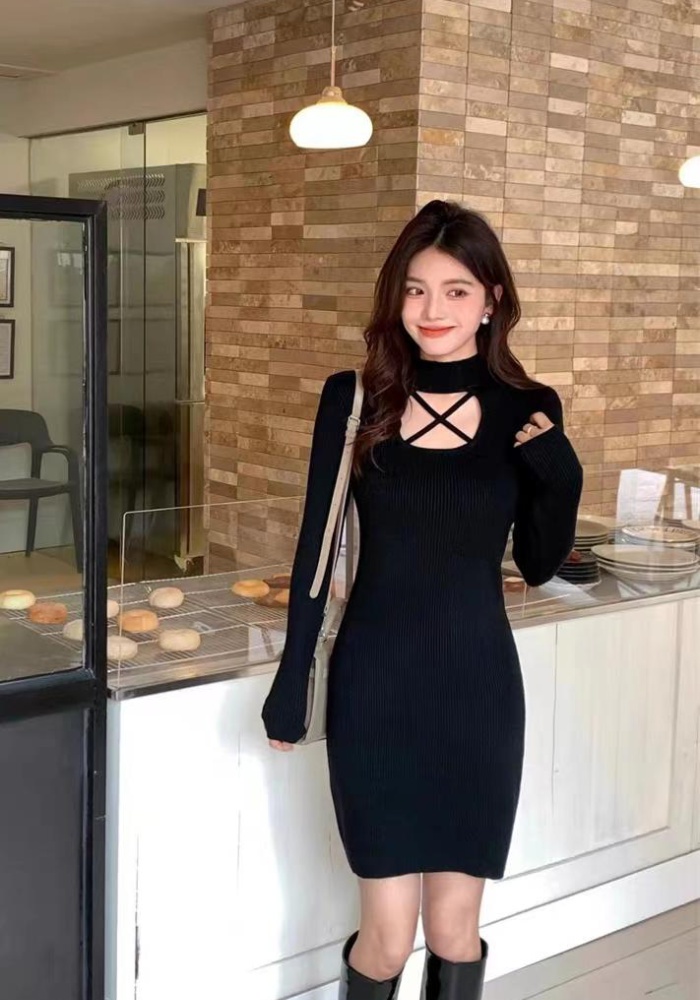Lady long sleeve autumn and winter pure pullover dress