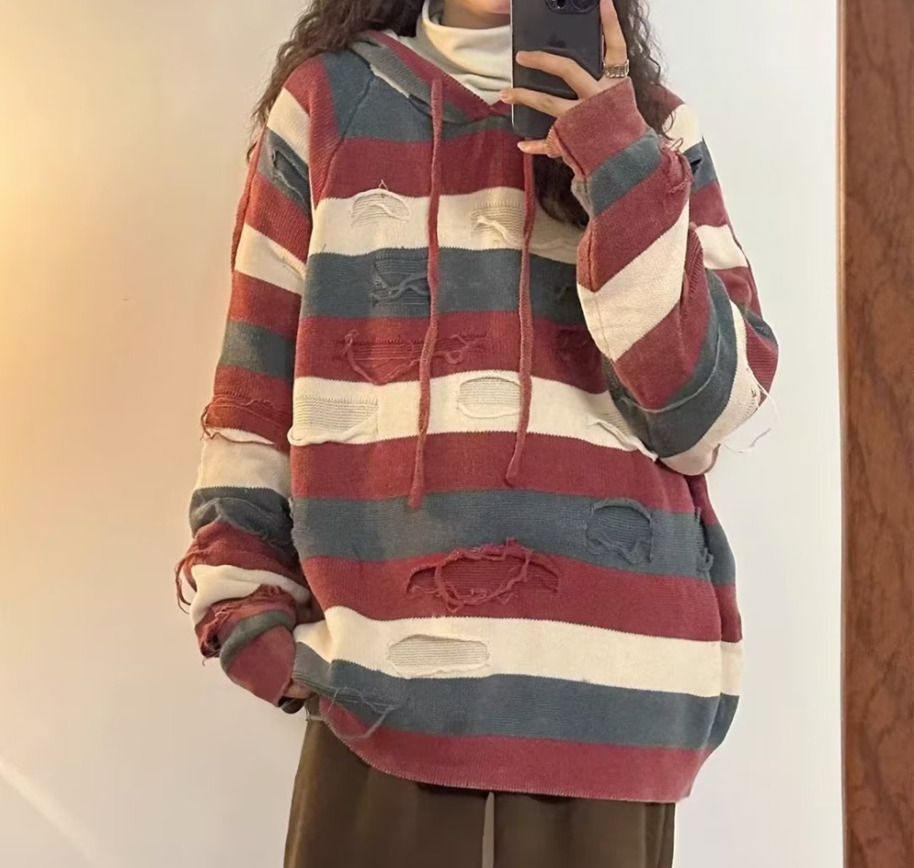 Hooded loose niche pullover autumn and winter sweater