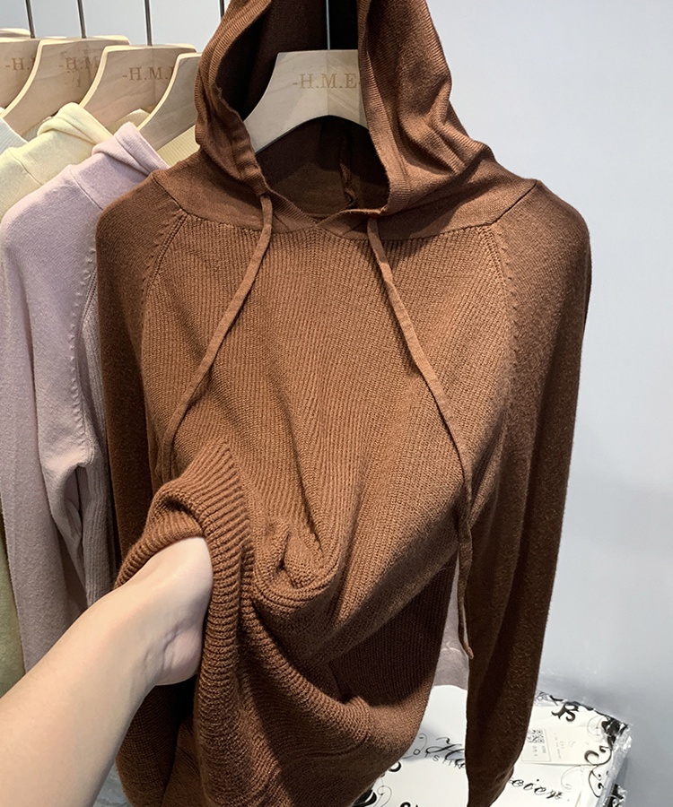 Hooded all-match sweater autumn and winter hoodie