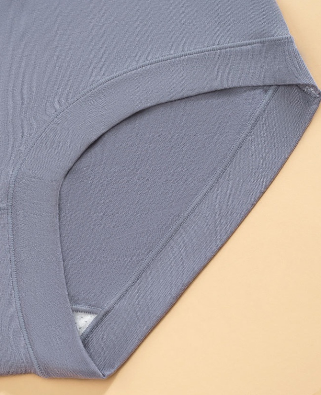 Silk tracelessness cozy elegant briefs