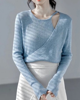 Long sleeve niche tops autumn sweater for women