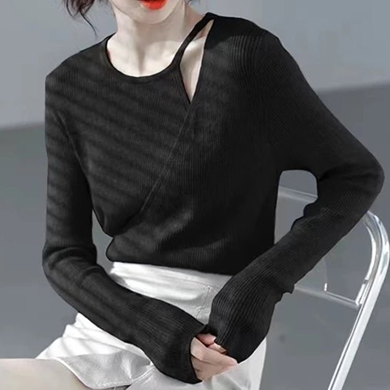Long sleeve niche tops autumn sweater for women