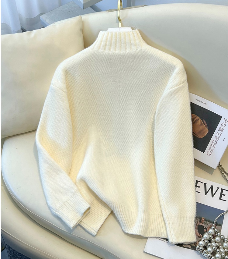 Thick student autumn and winter embroidery sweater for women