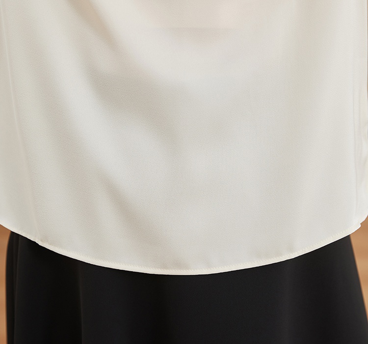 Long sleeve spring tops all-match shirt for women