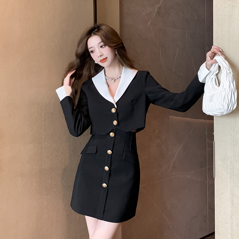 Package hip business suit mixed colors skirt a set