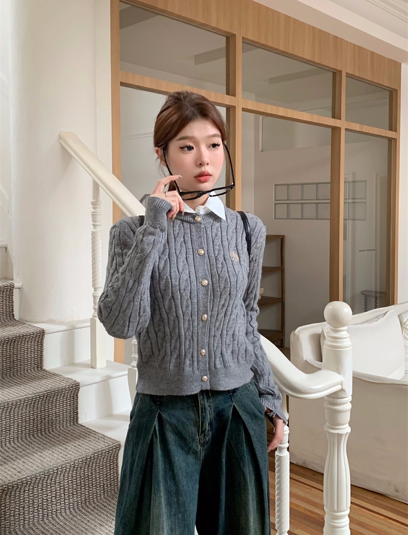 Pseudo-two twist cardigan Korean style embroidery sweater