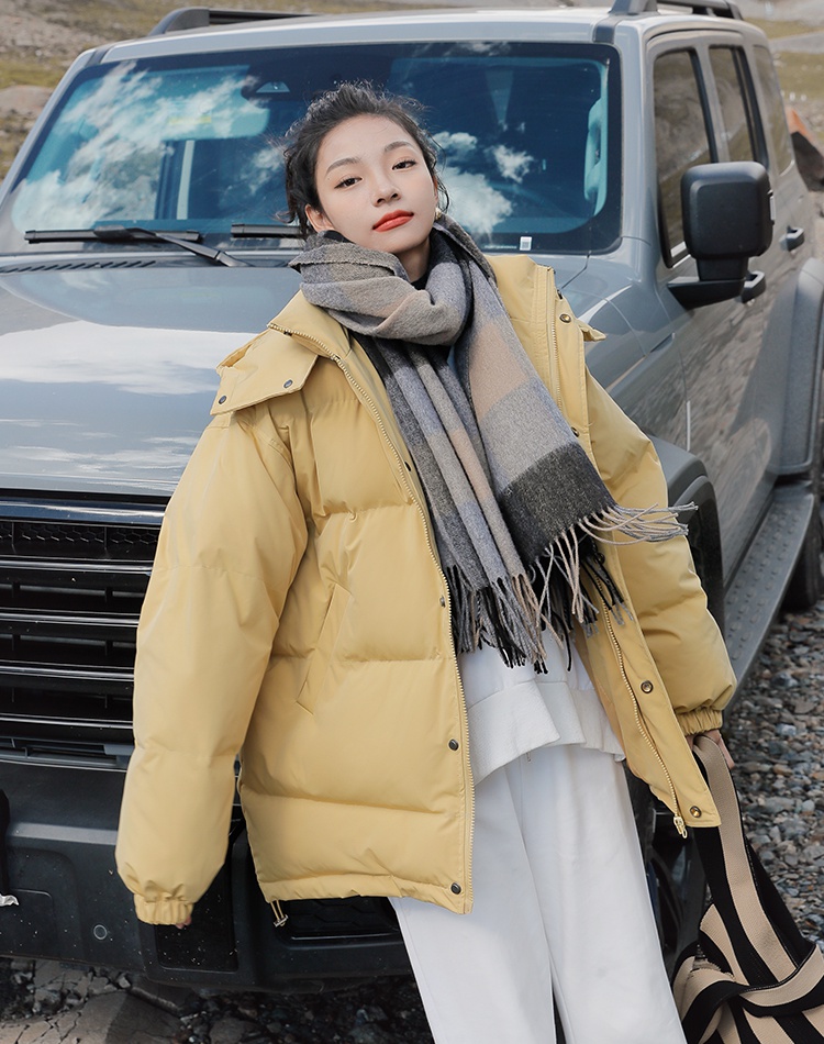 Short winter down coat Korean style coat for women
