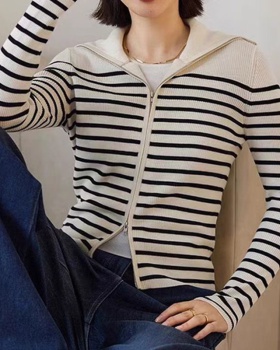Cstand collar long sleeve sweater Casual tops for women