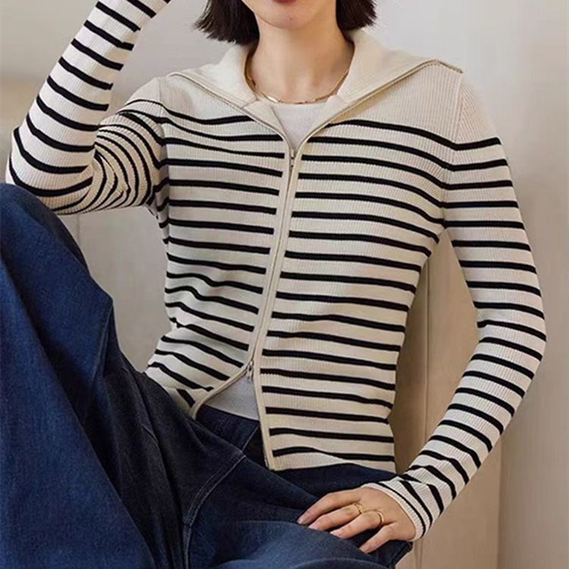 Cstand collar long sleeve sweater Casual tops for women