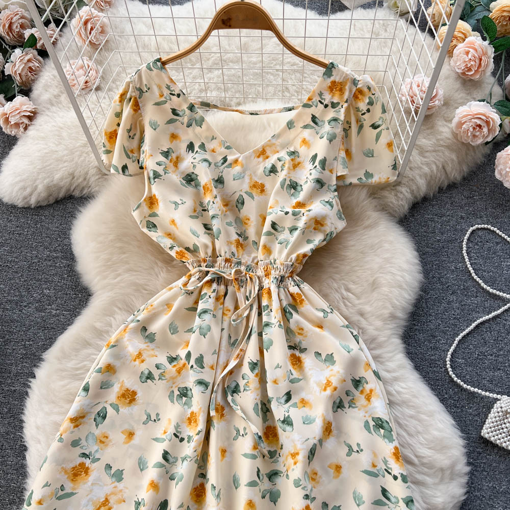 Slim pinched waist V-neck floral chiffon dress