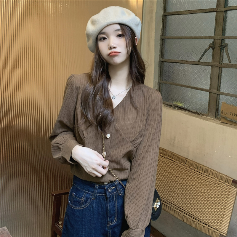 Long sleeve temperament shirt Korean style retro tops