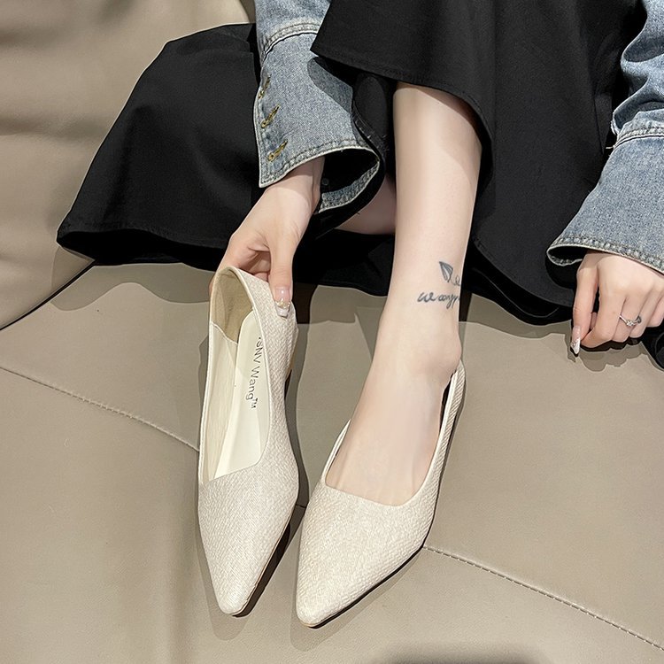 Low pointed shoes fashion Korean style flattie for women