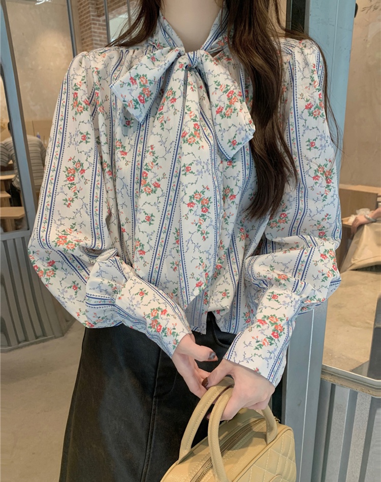 Retro spring shirt France style all-match tops for women