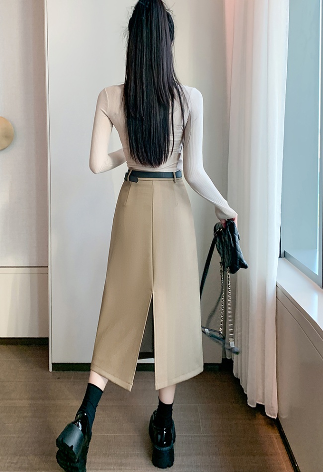 Temperament slim skirt spring long dress for women