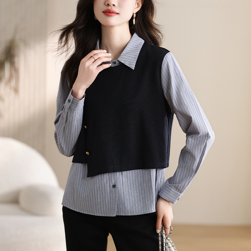 Niche spring shirt simple stripe tops for women