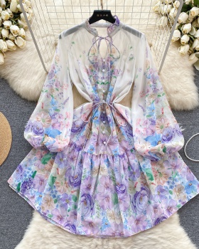 Slim vacation spring breasted printing dress for women