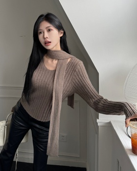 Spring knitted slim tops show young long sleeve sweater