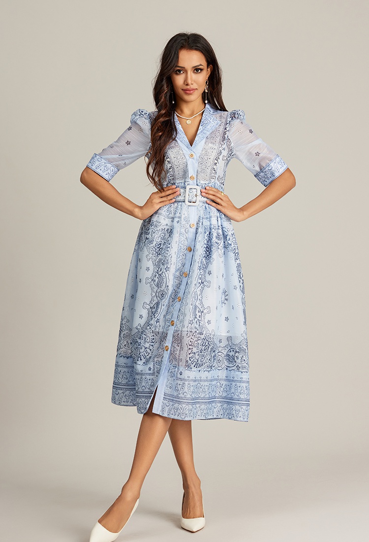 Retro single-breasted long printing court style dress