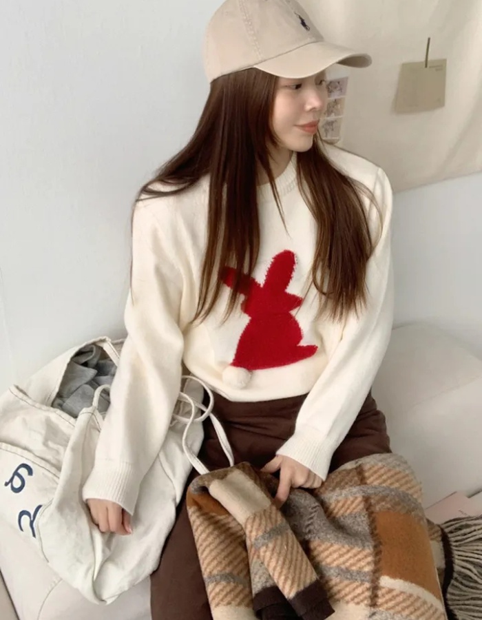 Rabbit knitted tops lovely spring and autumn sweater