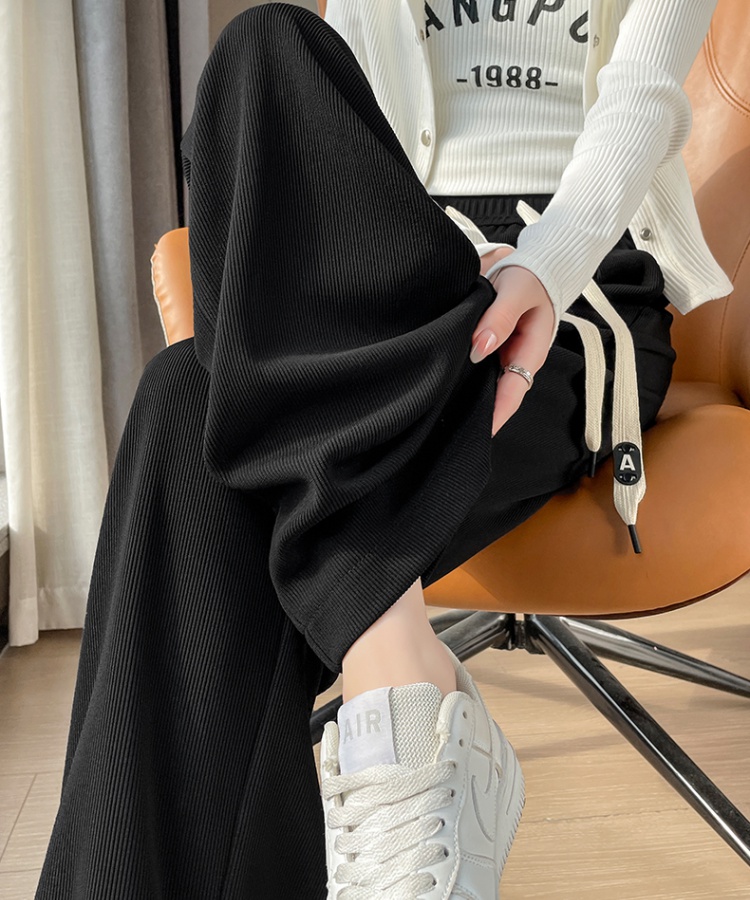 Spring and autumn wide leg pants for women