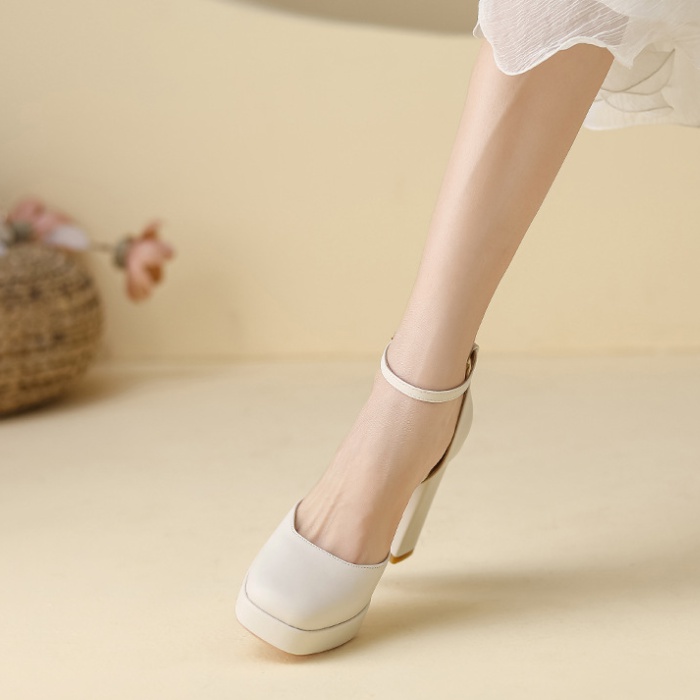 Thick high-heeled shoes fashion shoes for women