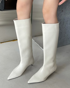 Pointed Korean style thigh boots autumn and winter boots