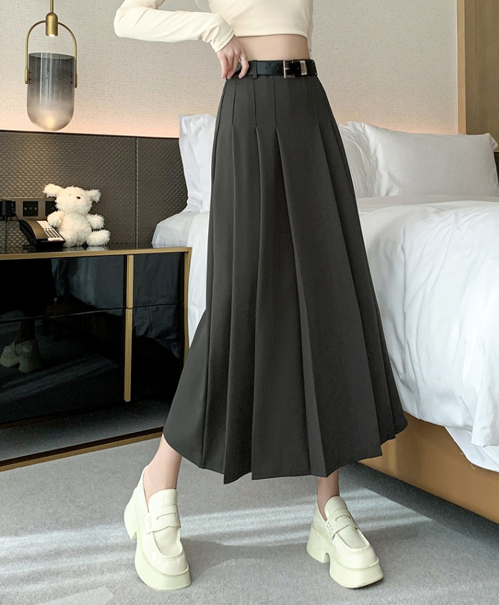 Long spring and summer skirt pleated long skirt for women