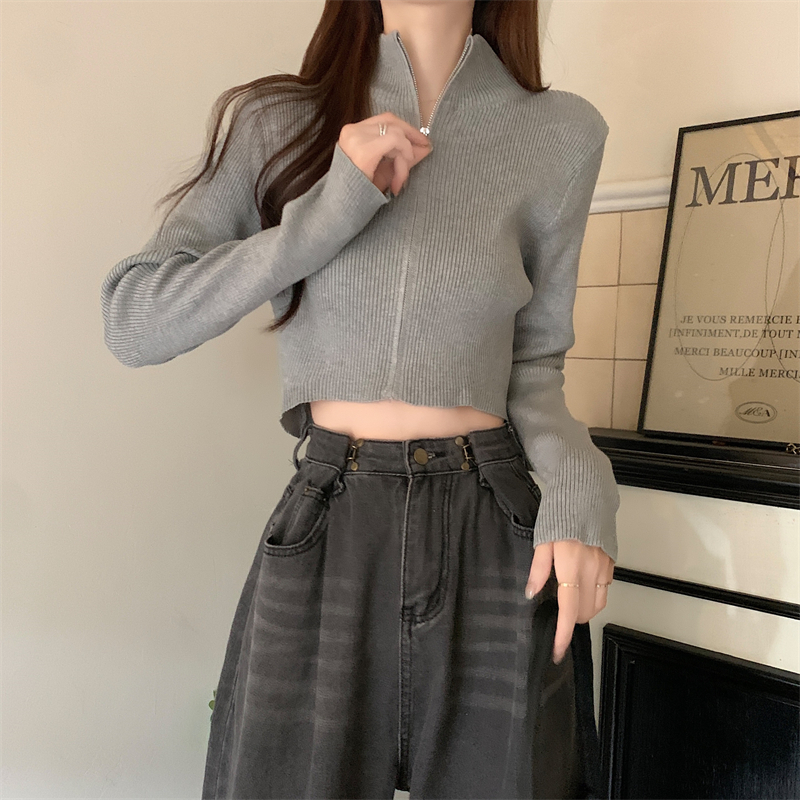 Pit stripe niche cardigan Korean style half high collar sweater