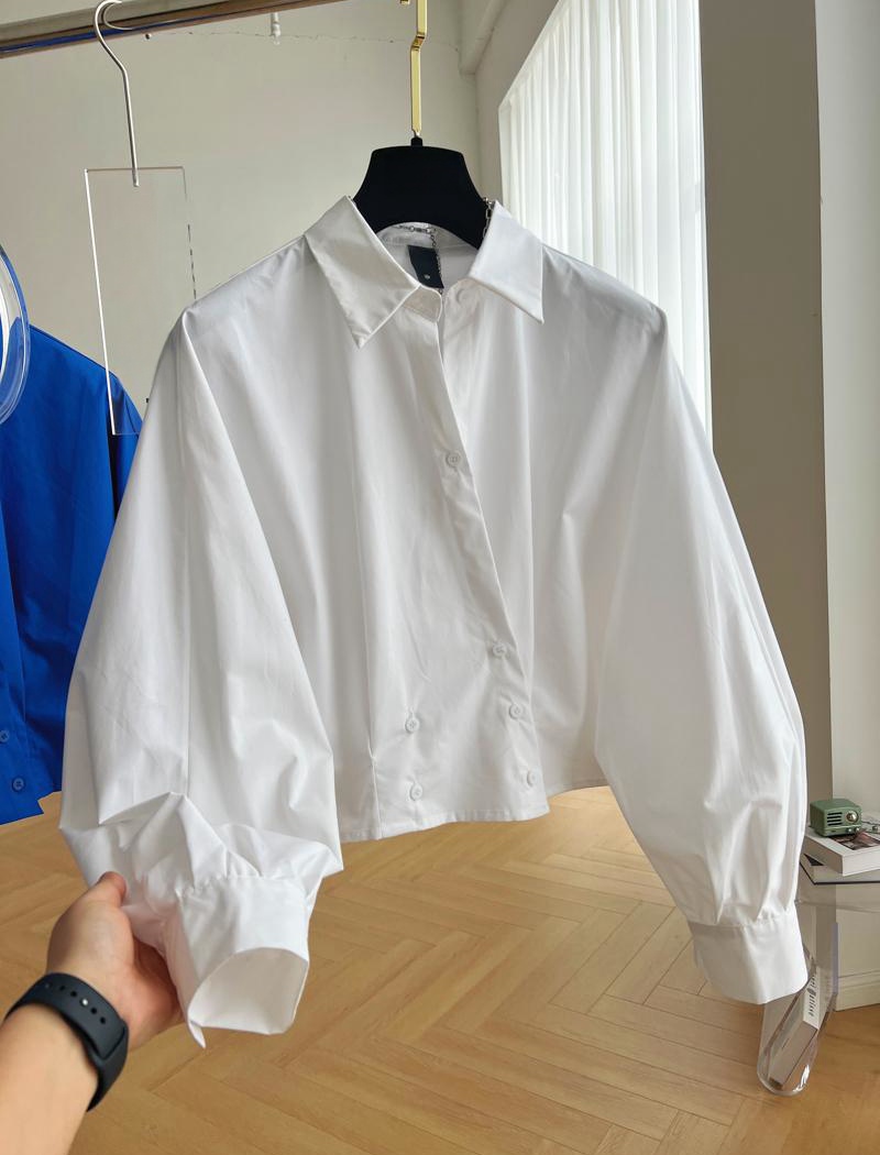 Long sleeve spring and autumn small shirt placket shirt