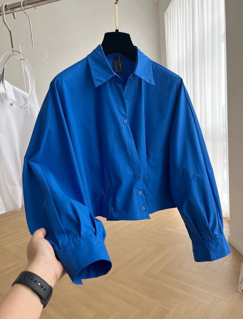 Long sleeve spring and autumn small shirt placket shirt