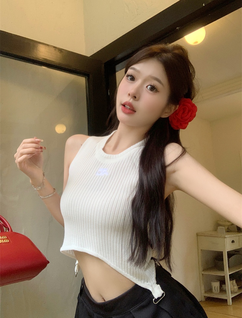 Short niche Korean style vest embroidery knitted tops