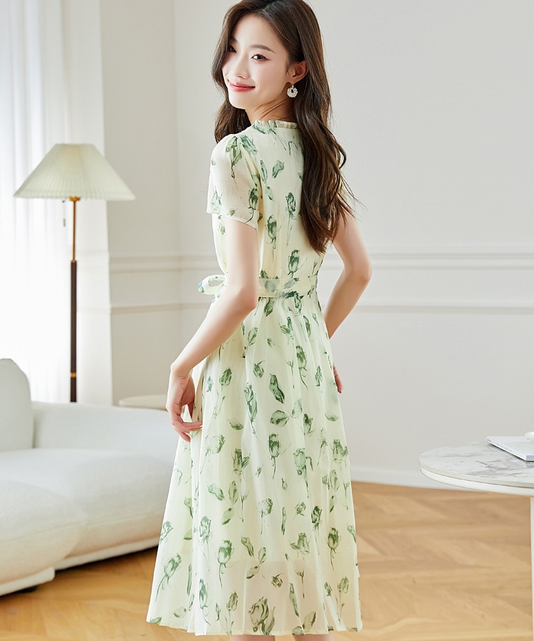 Loose temperament dress summer printing long dress for women