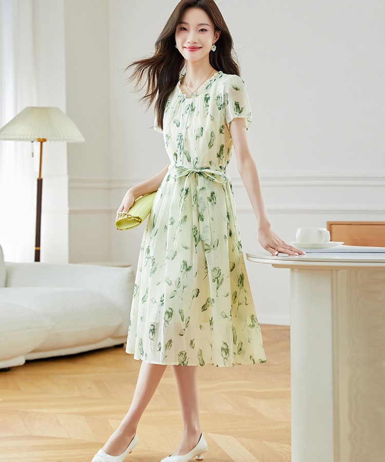 Loose temperament dress summer printing long dress for women
