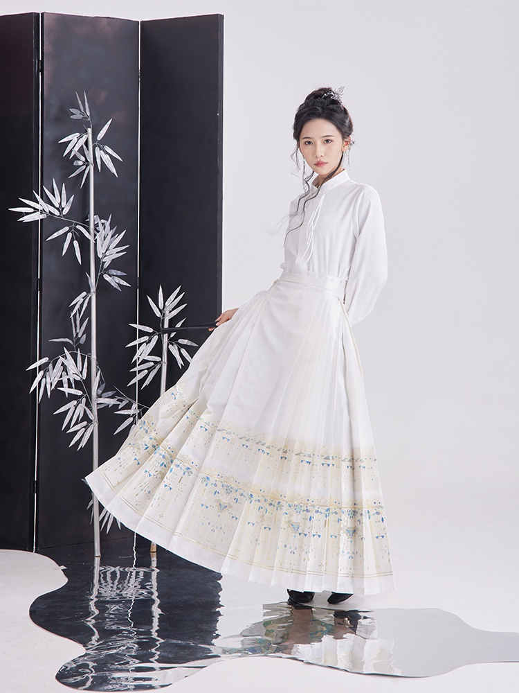 Spring and summer Chinese style horse-face skirt white tops