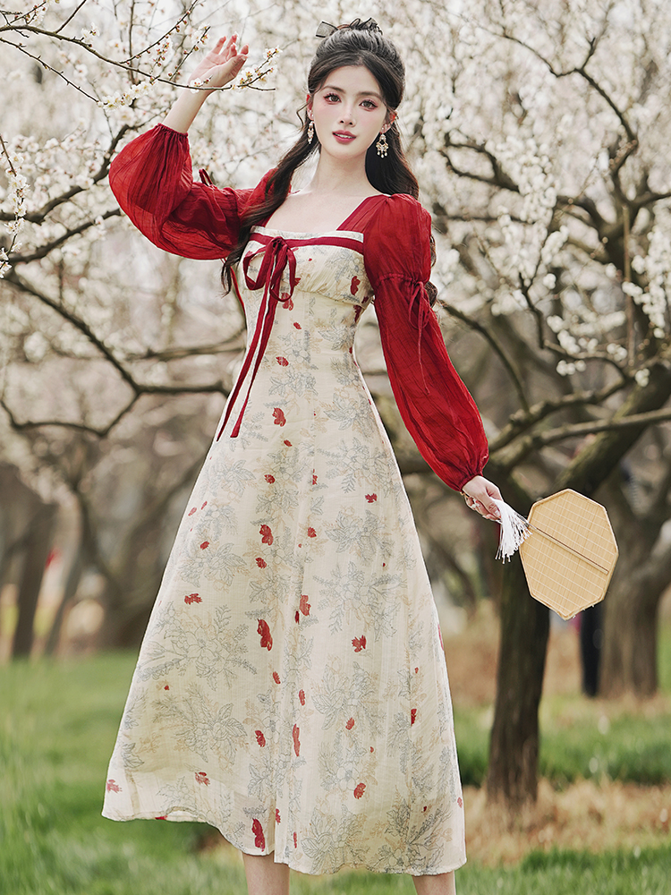 Long sleeve Chinese style dress chiffon long dress
