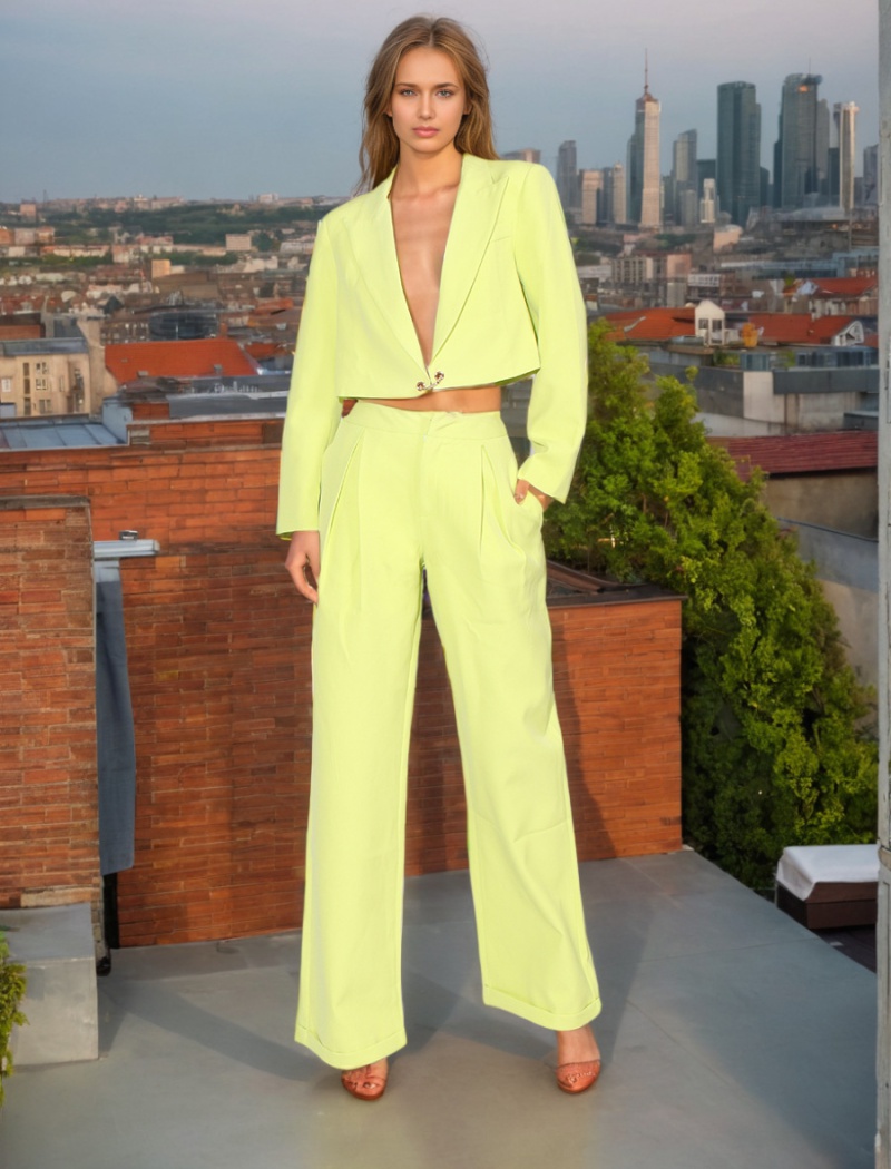Straight fashion long pants V-neck business suit 2pcs set