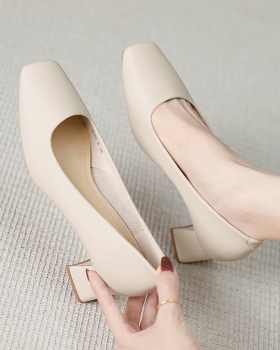 France style shoes high-heeled shoes for women