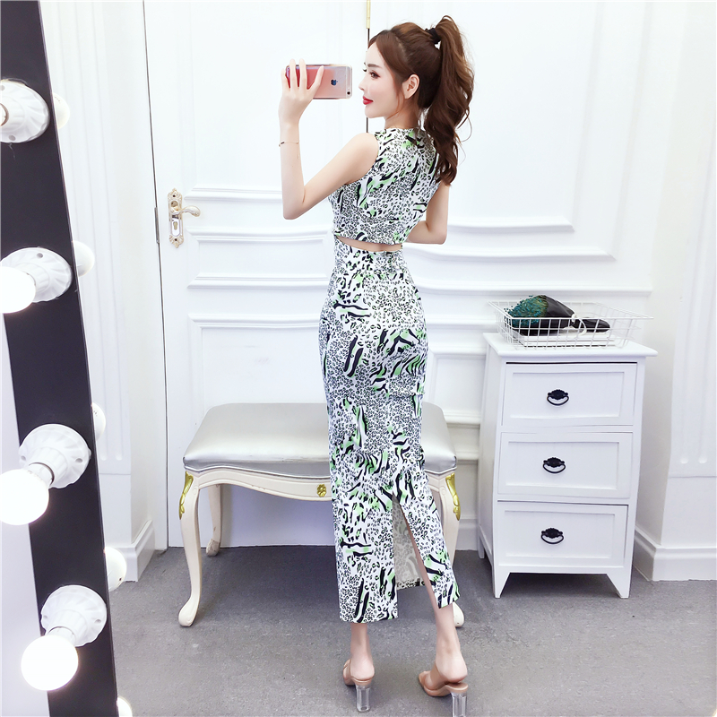 Beautiful fashion long dress V-neck printing tops a set