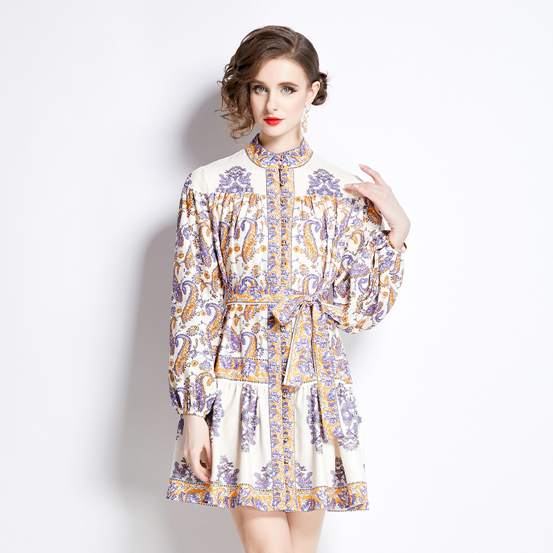 Short long sleeve spring printing temperament dress