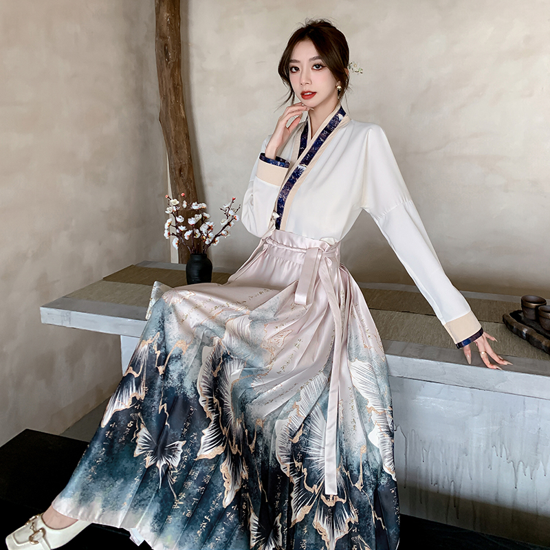 Chinese style shirt horse-face skirt a set for women