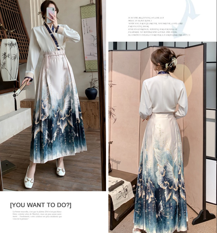 Chinese style shirt horse-face skirt a set for women