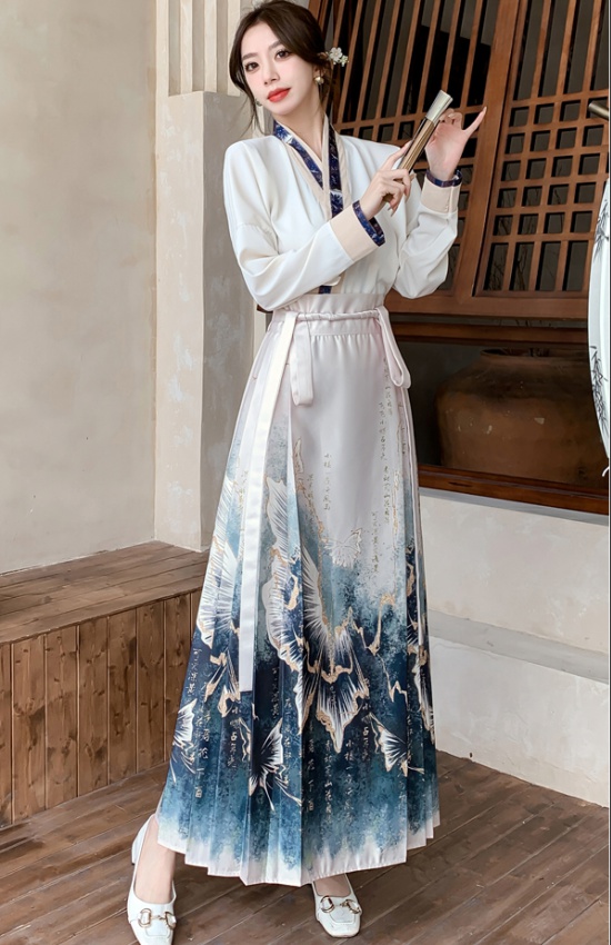 Chinese style shirt horse-face skirt a set for women