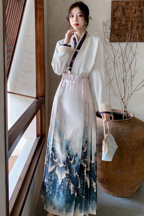 Chinese style shirt horse-face skirt a set for women