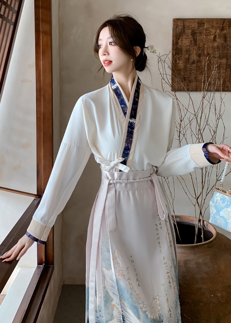 Chinese style shirt horse-face skirt a set for women