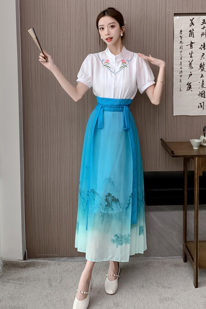 Chinese style horse-face skirt shirt a set for women
