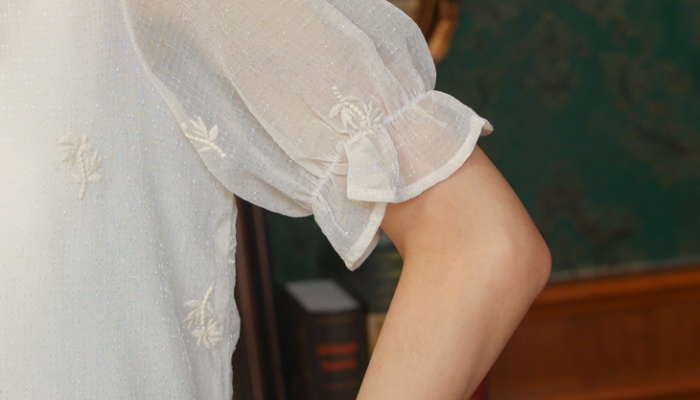 Summer V-neck puff sleeve tops lace chiffon niche shirt