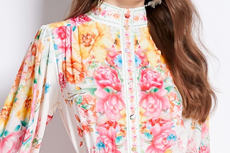 Retro lantern sleeve spring and summer printing dress