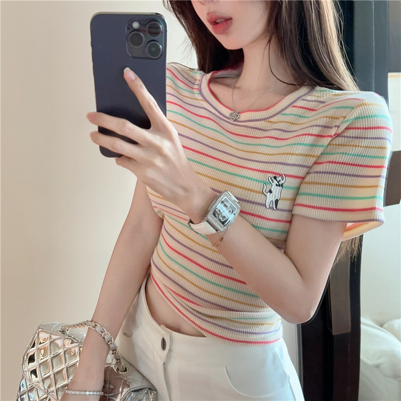 Rainbow small fellow colors T-shirt short slim tops