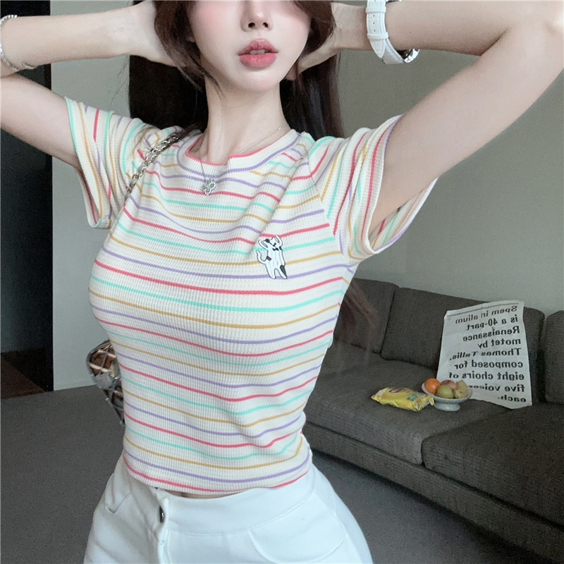 Rainbow small fellow colors T-shirt short slim tops